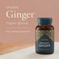 Image 3 for Organic Ginger Caps - 120's Capsules