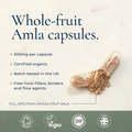 Image 5 for Organic Amla - 60 Capsules