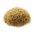 Image 1 for Natural Sea Sponge for Bathing - 4-4.5 inches