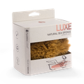 Image 1 for Natural Sea Sponge For Bathing 5-5.5 Inches