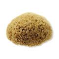 Image 2 for Natural Sea Sponge For Bathing 5-5.5 Inches