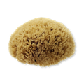 Image 2 for Natural Sea Sponge For Bathing 5.5 - 6 Inches