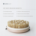 Image 5 for Detox Massage Brush
