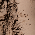 Image 3 for Vegan Protein Blend Chocolate 600 g