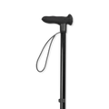 Image 3 for Black Walking Stick Right Hand