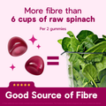 Image 3 for Digestive Fibre Support Berry Flavour 60 Gummies - 60 Count