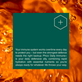 Image 3 for Daily Immune+ Hydration, Electrolytes & Vitamins Orange Flavour 20 Effervescent Tablets