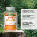 Image 2 for Probiotic 60 Vegan Gummies
