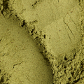 Image 4 for Greens Superfood Blend Mango 7 Sachets