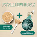 Image 4 for Psyllium Husk 10000mg with Acidophilus 1 Billion CFU, 120 Vegan Capsules | Natural Soluble Fibre Supplement from Plantago Ovata Seeds Made in The UK by Prowise Healthcare