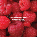 Image 3 for Chocolate Raspberry Flavour Creatine Infused Protein Bar 75g