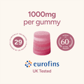 Image 5 for Creatine+ Energy Orange 3000 mg 90 Gummies