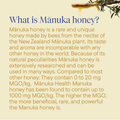 Image 5 for NZMGO 250+ Pure Manuka Honey 1Kg