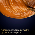 Image 4 for MGO 550+ Pure Manuka Honey 500g