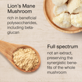 Image 4 for Lion's Mane Mushroom Powder 100g