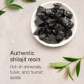 Image 5 for Pure Shilajit Resin 20g
