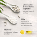 Image 5 for Glucosamine Complex with Chondroitin, MSM & Vitamin C 120 Capsules