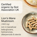 Image 5 for Organic Lion's Mane Mushroom 30 Capsules