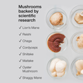 Image 4 for 8 Mushroom Complex with Ashwagandha KSM-66 Vegan 60 Capsules