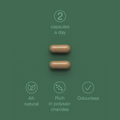 Image 5 for 8 Mushroom Complex with Ashwagandha KSM-66 Vegan 60 Capsules