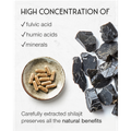Image 4 for Himalayan Shilajit 60 Capsules