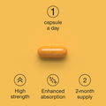 Image 5 for Turmeric Curcumin 95% with Black Pepper 60 Capsules