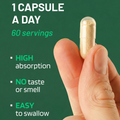Image 5 for Moringa Leaf Extract 2000mg 60 Capsules