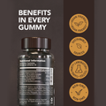 Image 2 for Himalayan Shilajit with Ashwagandha & Turmeric Pineapple Flavour 60 Gummies