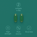 Image 5 for Cod Liver Oil 2000mg 60 Softgels Odourless