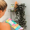 Image 3 for Shower Steamers Smug Shower Steamers Energising
