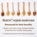 Image 3 for Organic 7 Mushroom Blend Powder (Reishi, Chaga, Shiitake, Maitake, Lion’s Mane, Cordyceps, Tremella)