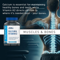 Image 4 for Calcium & Vitamin K2 - 60 Capsules