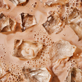 Image 5 for Sculpt Hybrid Protein Chocolate 250 g