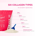Image 5 for So Body Co Peptigen+ Multi Collagen Types I, II, III, V, X & Undenaured Type II 10,000mg Daily 10g X 30 Serving