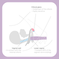 Image 5 for The Billionaire Versatile Beginner's Vibrator