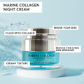 Image 2 for Marine Collagen Night Cream 50ml