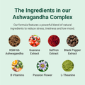 Image 4 for Ashwagandha Complex High Strength KSM-66® 60 Capsules
