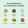 Image 2 for Cholesterol Complex with Monacolin K & Added Plant Sterols 90 Tablets