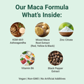 Image 4 for Maca with Ashwagandha, Zinc & Vitamin B6 60 Capsules