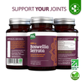 Image 5 for Boswellia Serrata (2000mg) 5:1 Extract | 65% Boswellic Acid 180 Capsules