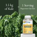 Image 4 for Magnesium Glycinate 350mg – High Strength Magnesium Bisglycinate, 120 Capsules