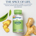 Image 4 for Ginger Root 1100mg, Digestive & Everyday Wellness Support - 100 Vegan Capsules
