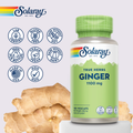 Image 5 for Ginger Root 1100mg, Digestive & Everyday Wellness Support - 100 Vegan Capsules