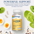 Image 3 for L-Lysine 1000mg, Double Strength Amino Acid for Pre & Post Workout - 60 Vegan Capsules