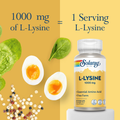 Image 5 for L-Lysine 1000mg, Double Strength Amino Acid for Pre & Post Workout - 60 Vegan Capsules