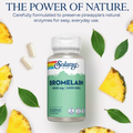 Image 3 for Bromelain 1000mg, Pineapple Enzyme & Digestive Support - 60 Vegan Capsules