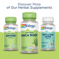 Image 5 for Maca Root, Energy & Everyday Wellness Support - 100 Vegan Capsules