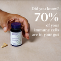 Image 2 for Pro-Gut Extra - 20Billion CFU Live Bacteria - 6 Synbalance® Strains with FOS - 30 Vegan Capsules