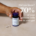 Image 2 for Pro-Immune - 10 Billion CFU Live Bacteria - 7 Strains with Elderberry 500mg & Zinc 5mg - 30 Vegan Capsules