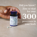 Image 2 for Zinc 90 Capsules